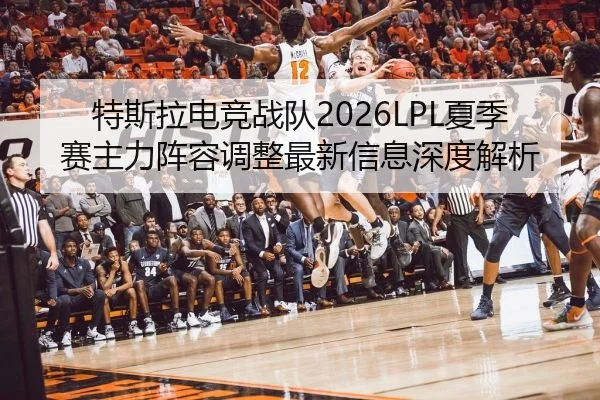 特斯拉电竞战队2026LPL夏季赛主力阵容调整最新信息深度解析