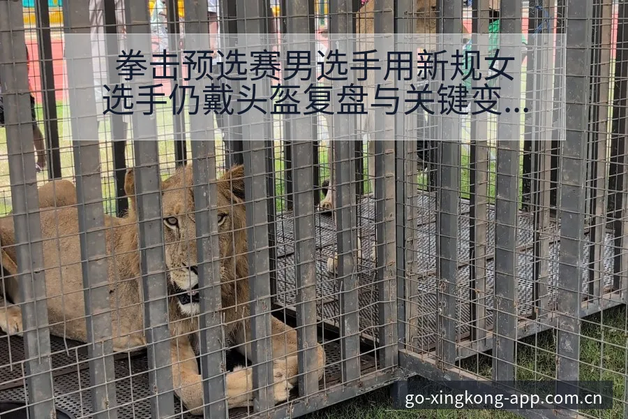 拳击预选赛男选手用新规女选手仍戴头盔复盘与关键变化风险观 - 星空体育官网
