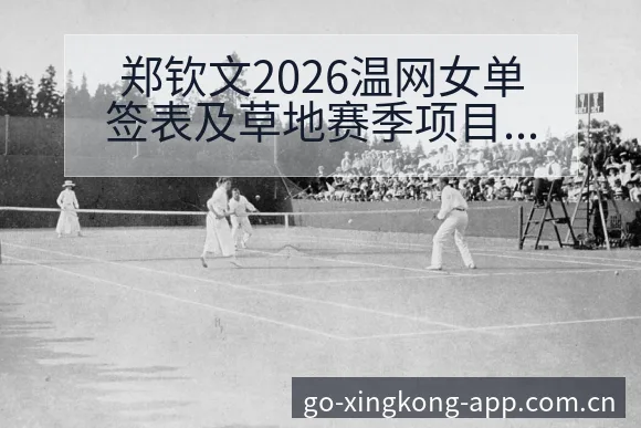 郑钦文2026温网女单签表及草地赛季项目格局深度分析 - 星空体育官网