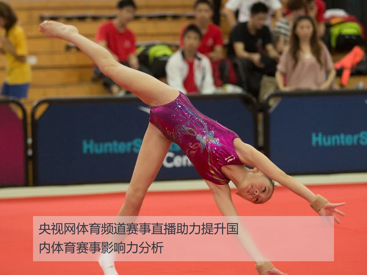 央视网体育频道赛事直播助力提升国内体育赛事影响力分析